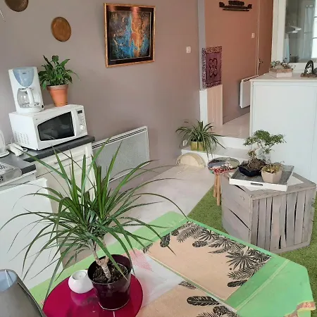 Fluorine De Terra-crystal Apartment *