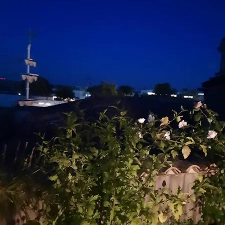 Terra-crystal Rochefort (Charente-Maritime)