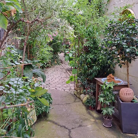 Apartment Fluorine De Terra-crystal Rochefort (Charente-Maritime)
