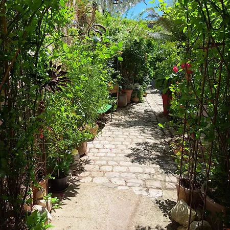 Terra-crystal Apartment