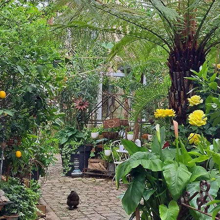 Apartment Terra-crystal *