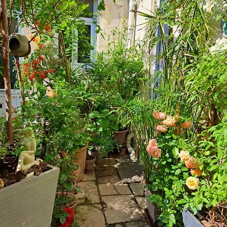 Apartment Terra-crystal