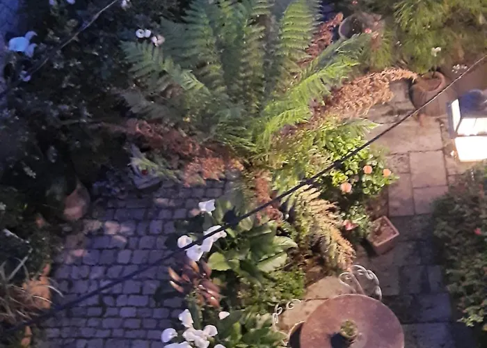 Terra-crystal * Rochefort (Charente-Maritime)