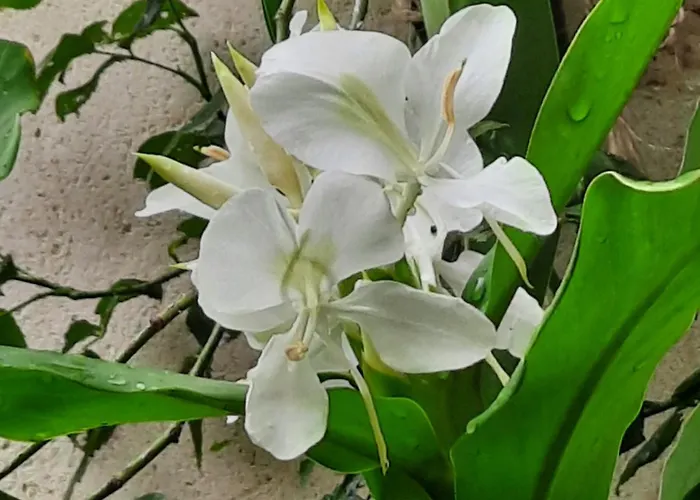 Apartment Terra-crystal