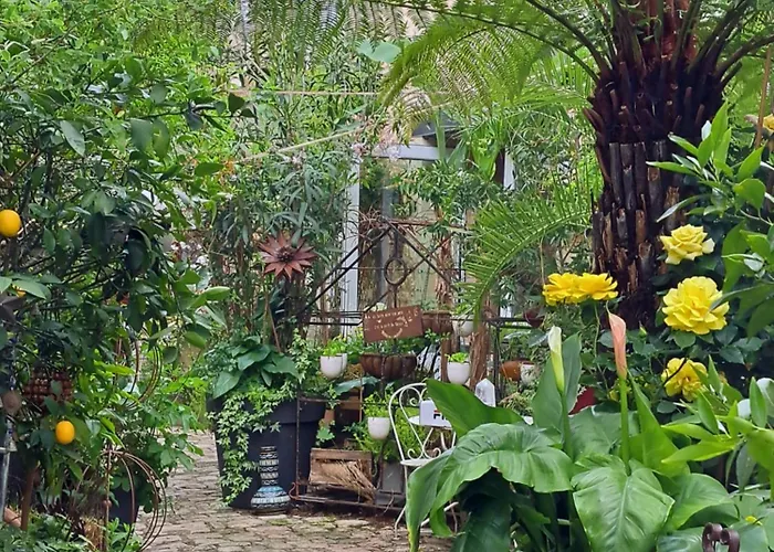 Apartment Terra-crystal *