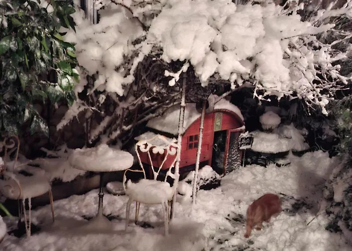 Terra-crystal * Rochefort (Charente-Maritime)