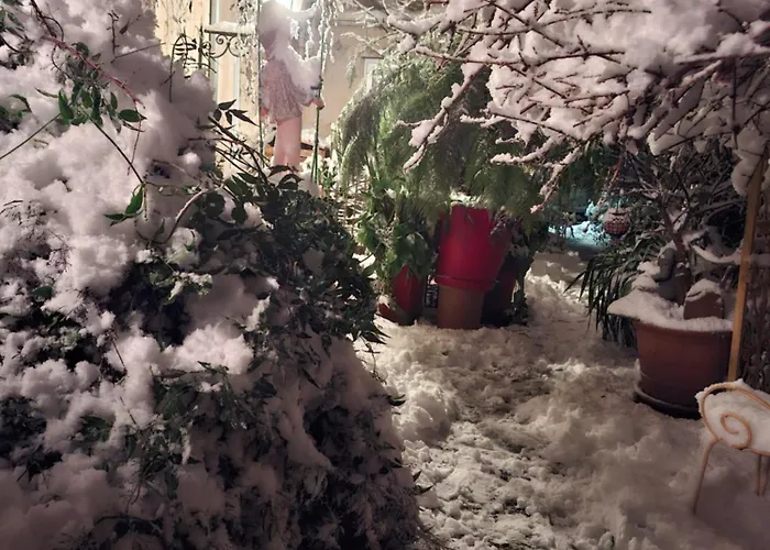 Terra-crystal Rochefort (Charente-Maritime)