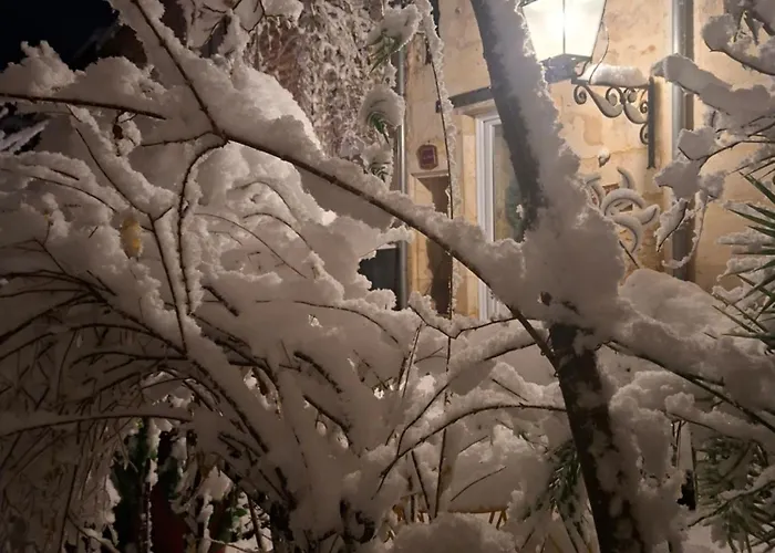 Terra-crystal * Rochefort (Charente-Maritime)